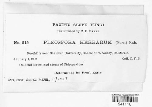 Stemphylium vesicarium image